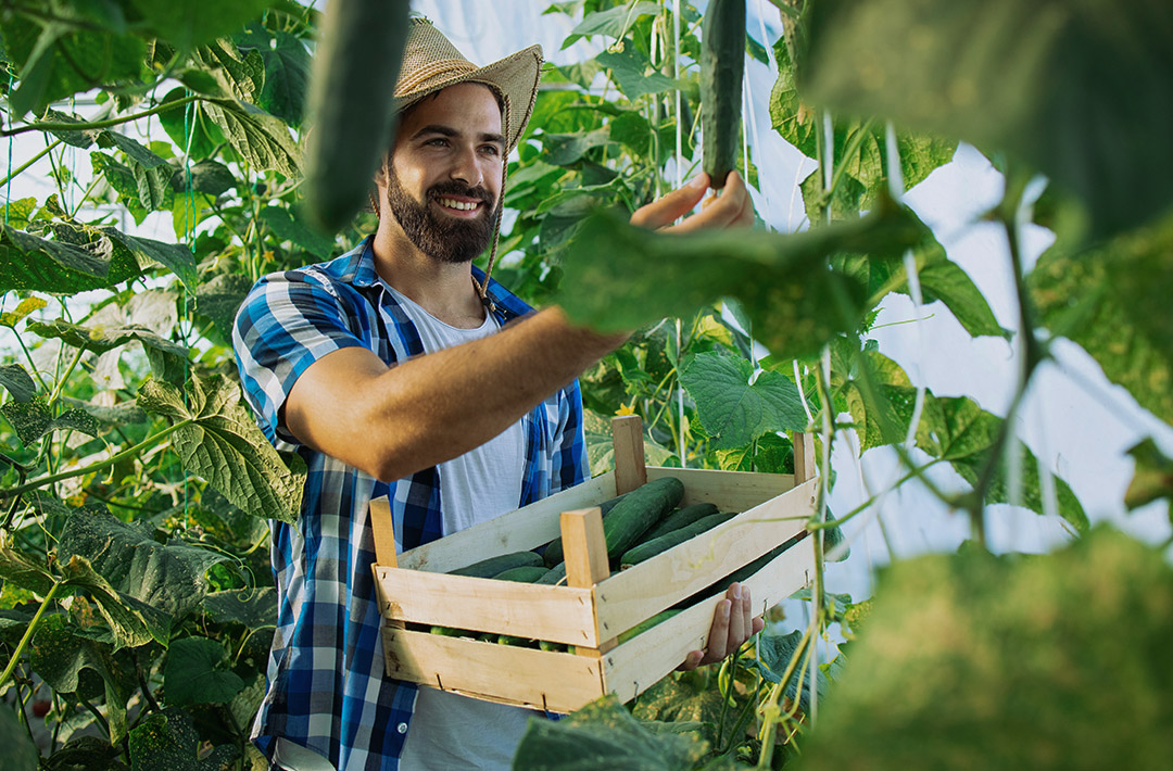 Nuestras cosechas serán mas producctivas y aumentaremos la calidad de los productos