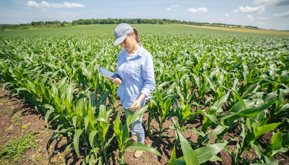 analisis de datos para un cultivo mas productivo