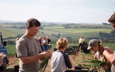 La captación del talento digital en el sector agro