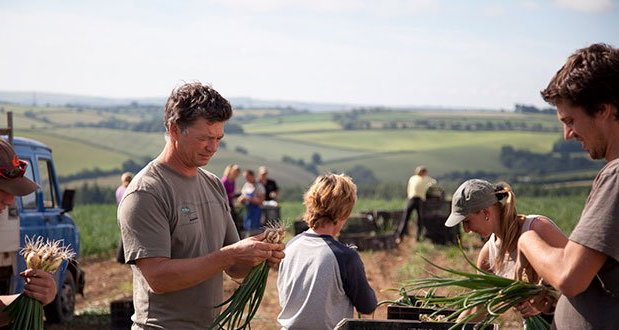 La captación del talento digital en el sector agro